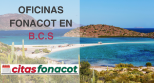 Oficinas fonacot en baja california Sur