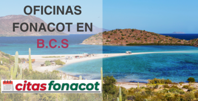 Oficinas fonacot en baja california Sur